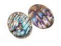 Loose Stones: Fourteen, Oval Abalone Doublets