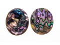 Loose Stones: Fourteen, Oval Abalone Doublets