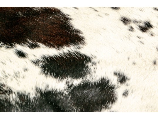 Genuine Speckled Leather Cowhide Rug, New