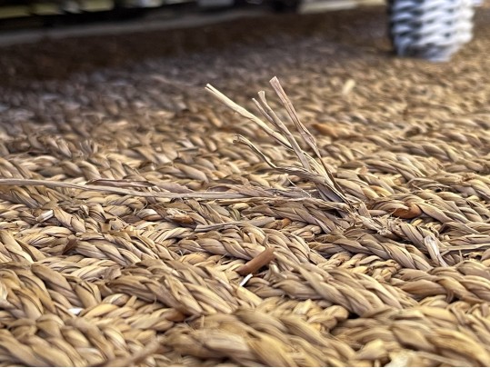 Sisal Carpet With Canvas Trim, 9'-11 1/2