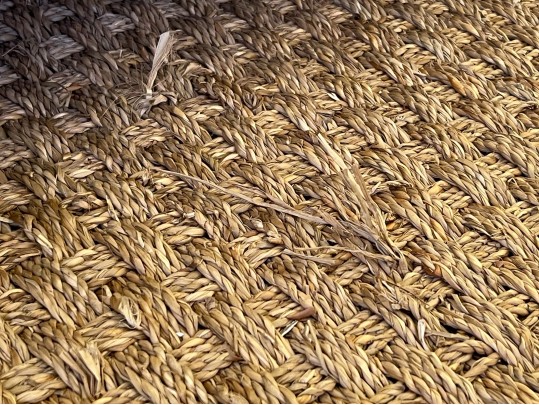 Sisal Carpet With Canvas Trim, 9'-11 1/2