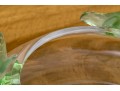 Gorgeous French Lalique 