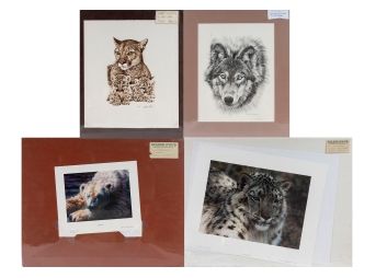 Black Rock Galleries