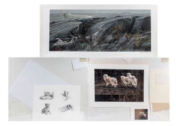Black Rock Galleries