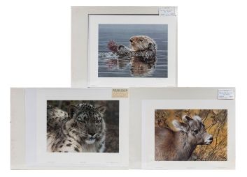 Black Rock Galleries