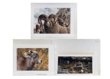 Black Rock Galleries