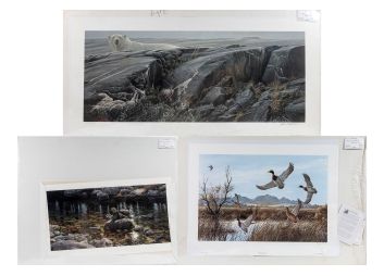 Black Rock Galleries