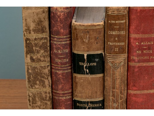 Collection Of 16 Antique Leather Bound Books, Most In French