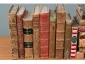 Collection Of 16 Antique Leather Bound Books, Most In French