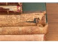 Collection Of 16 Antique Leather Bound Books, Most In French