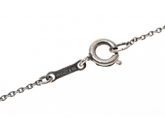 Tiffany & Co. Sterling Silver Elsa Peretti Zodiac Pendant And Chain