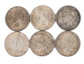 Six American Peace Dollars, Circulated