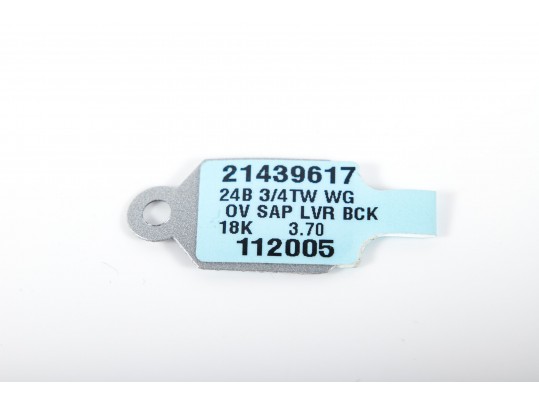 18k White Gold Sapphire And Diamond Earrings