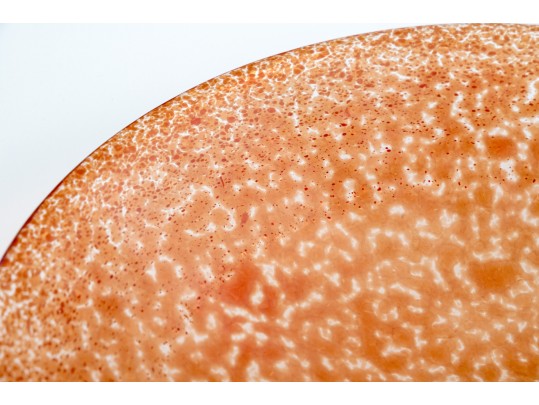 Kosta Boda Bowl Red Tellus