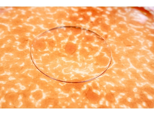 Kosta Boda Bowl Red Tellus