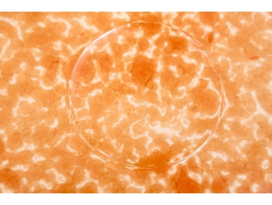 Kosta Boda Bowl Red Tellus