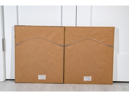 Pair Of Fine J. Pocker & Son Gilt Framed European Color Song Bird Lithographs