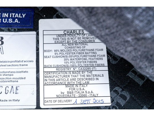 Chic B & B Italia Sofa