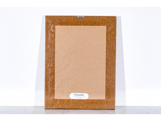 Croquis Artistiques Costumes - Manteaux, Winter 1934 Fashion Inspiration Print