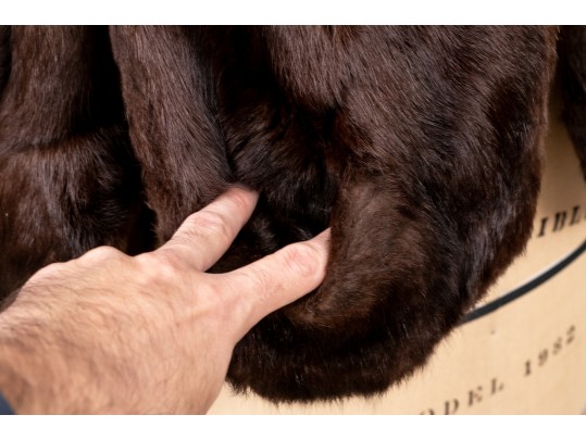 Vintage Ladies Dark Brown Mink Jacket   Size S- M