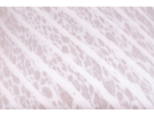 Handsome Artisanal Blown Glass Lamp