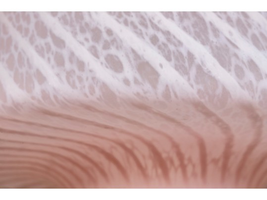 Handsome Artisanal Blown Glass Lamp