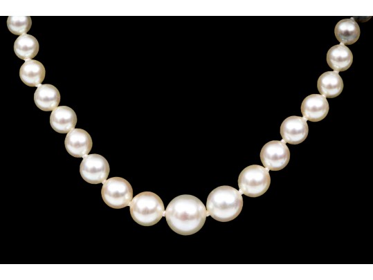 Stunning Delicate Graduated Cultured Pearl Necklace, With A 14k White Gold Clasp