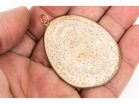 Unique Pendant Displaying Fish Fossils