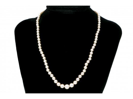Stunning Delicate Graduated Cultured Pearl Necklace, With A 14k White Gold Clasp