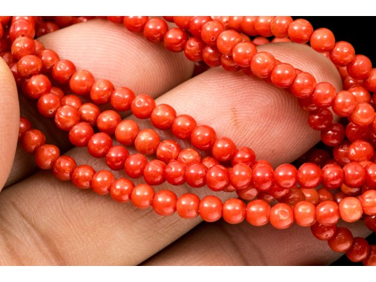 Fabulous Coral Torsade Choker Necklace, With A 14k Yellow Gold Clasp