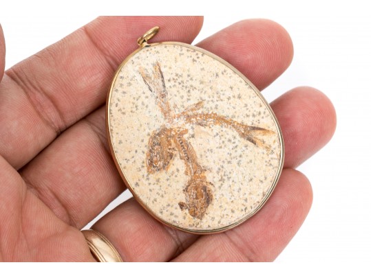 Unique Pendant Displaying Fish Fossils
