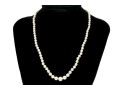 Stunning Delicate Graduated Cultured Pearl Necklace, With A 14k White Gold Clasp