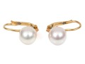 18k Yellow Gold Simple Cultured Pearl Drop Earrings, Featuring An 8.25mm Cultured Pearl