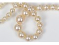 Stunning Delicate Graduated Cultured Pearl Necklace, With A 14k White Gold Clasp