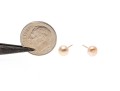 10k Yellow Gold Pinkish-White Cultured Freshwater Button Pearl Earrings