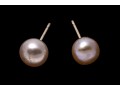10k Yellow Gold Pinkish-White Cultured Freshwater Button Pearl Earrings