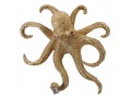 Playful 18k Yellow Gold Diamond Ruby Eyed Octopus Brooch