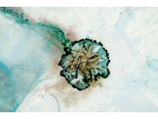 Pair Of Decorative Blue Floral Wall Art Prints