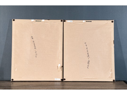 Pair Of Decorative Wall Art Depicting Paris Street Scenes