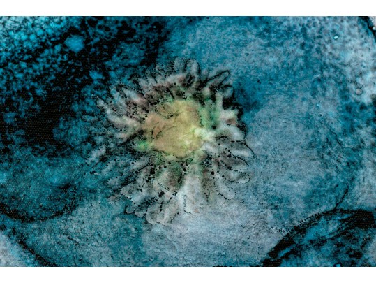 Pair Of Decorative Blue Floral Wall Art Prints