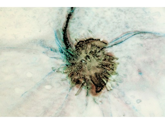 Pair Of Decorative Blue Floral Wall Art Prints