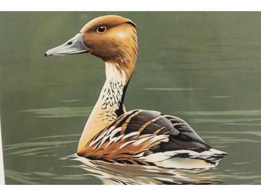 Bird-Themed Stamps With Signed Lithos. P Scholer, K Michaelsen, B Moore Jr, W Morris