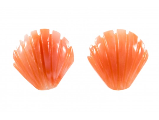 14k Yellow Gold Angel Skin Coral Shell-Shaped Stud Earrings