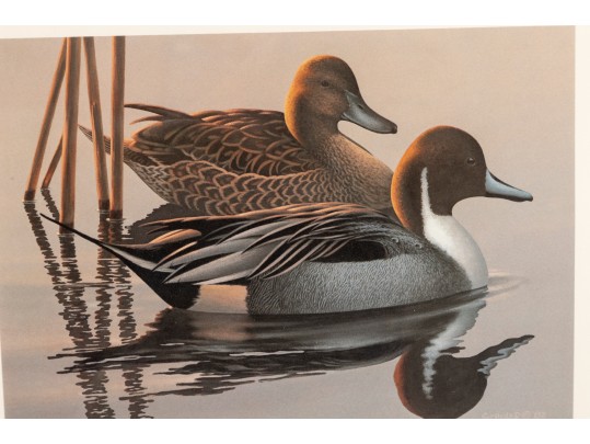 Bird-Themed Stamps With Signed Lithos. P Scholer, K Michaelsen, B Moore Jr, W Morris