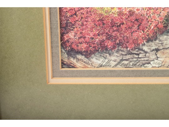 Sallie Middleton (American [NC], 1926-2009) 