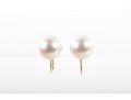 Mikimoto 14k Yellow Gold Cultured Pearl Screw-Back Clip-On Earrings