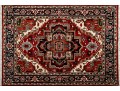 Serapi Wool Area Rug In Red, Black, And Cream (6' X 4') NEW