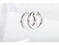 Similar 14k White Gold Diamond Hoop Earrings