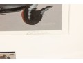 Bird-Themed Stamps With Signed Lithos. P Scholer, K Michaelsen, B Moore Jr, W Morris