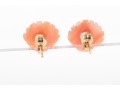 14k Yellow Gold Angel Skin Coral Shell-Shaped Stud Earrings